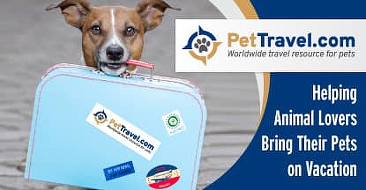 PetTravel.com: An In-Depth Resource That Helps Animal Lovers Redeem ...