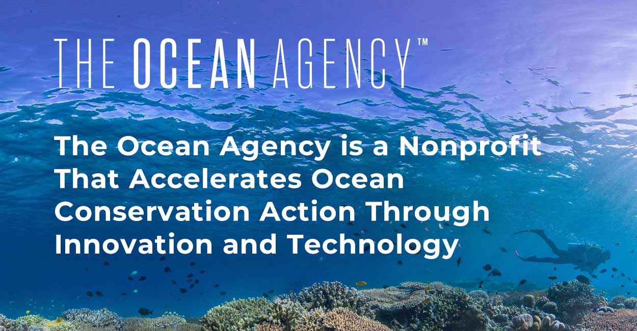 The Ocean Agency Is A Nonprofit That Accelerates Ocean Conservation ...